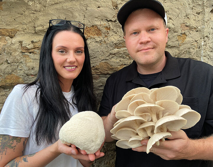 6-11 Fungi Holler 1.jpg